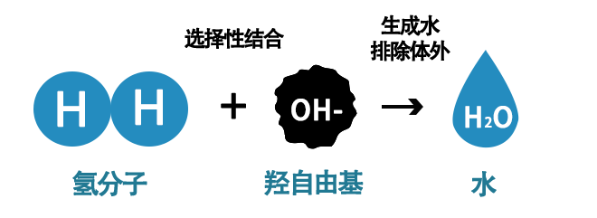 为什么富氢水适合长期饮用？